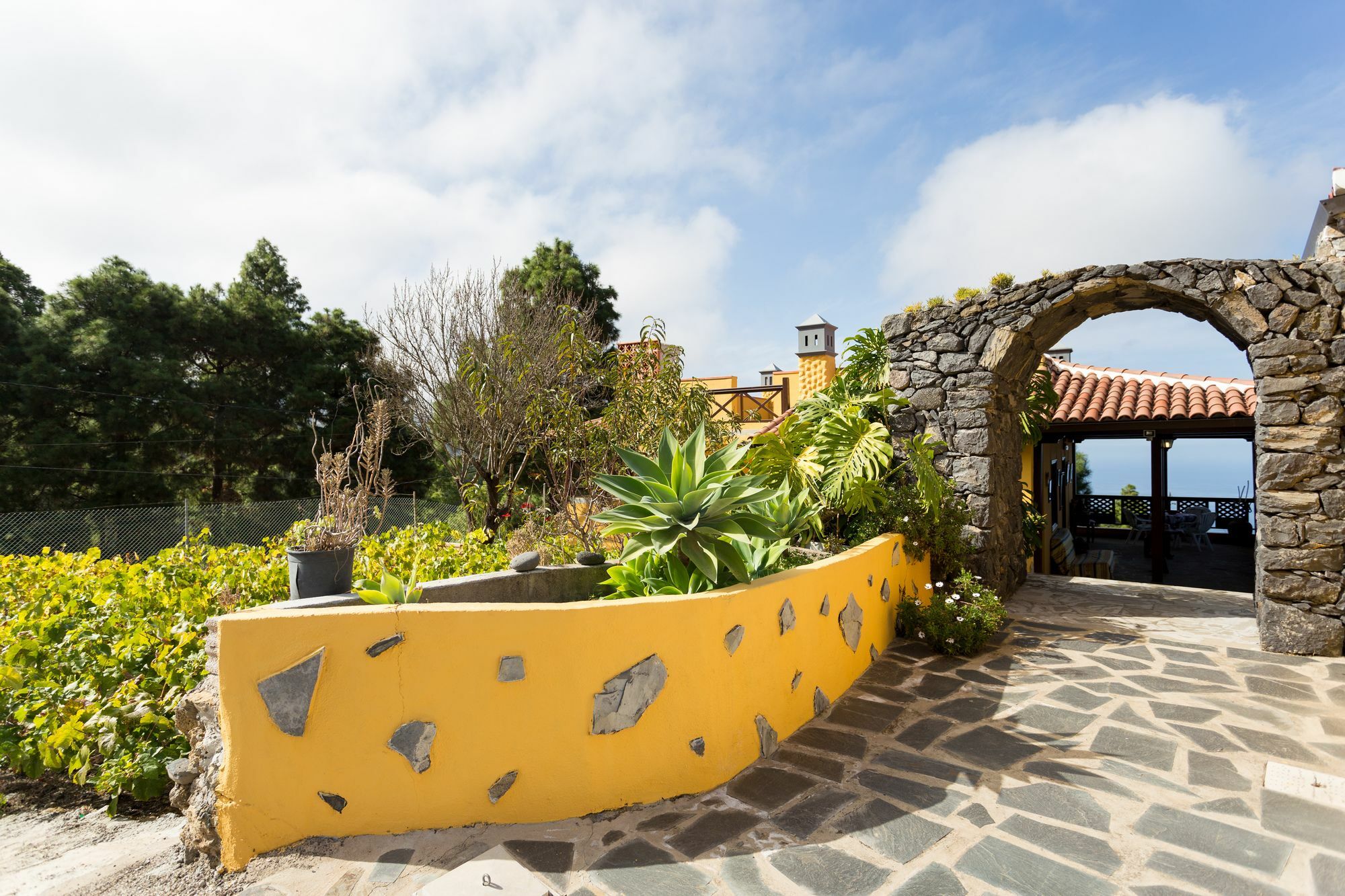 Finca Casa Yaya Icod De Los Vinos Extérieur photo