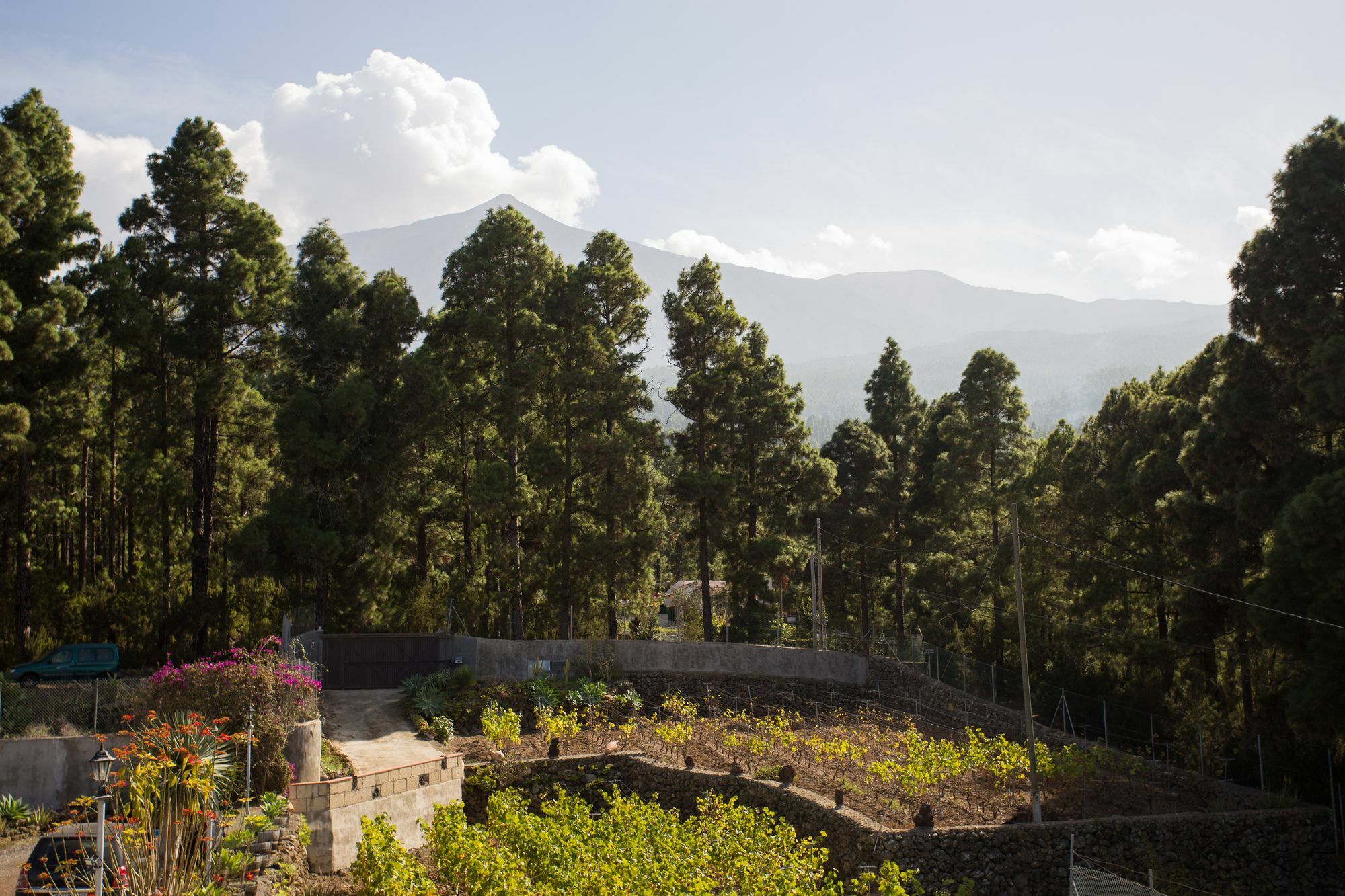 Finca Casa Yaya Icod De Los Vinos Extérieur photo